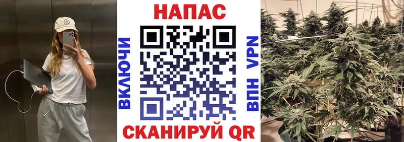 Магазины продажи наркотиков Минусинск мега зеркало  МЕФ  СК 