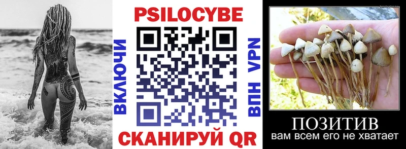 Псилоцибиновые грибы мухоморы  продажа наркотиков  Минусинск 